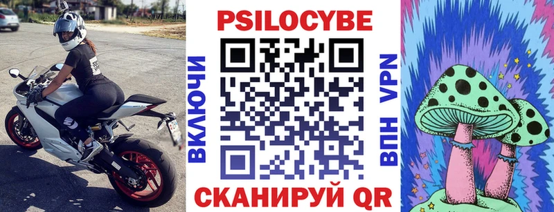 Псилоцибиновые грибы Cubensis Гуково