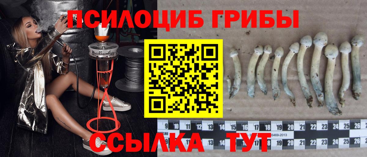 Галлюциногенные грибы MAGIC MUSHROOMS  Вход с VPN  Гуково  Галлюциногенные грибы мицелий 